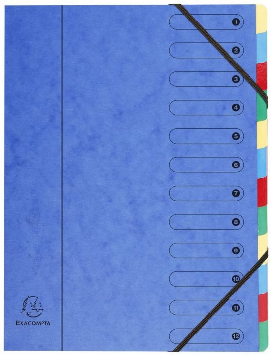 Exacompta 5212E Trieur Harmonika Windows Imprimees Nature Future 12 Compartments Laminated Card - Random Color