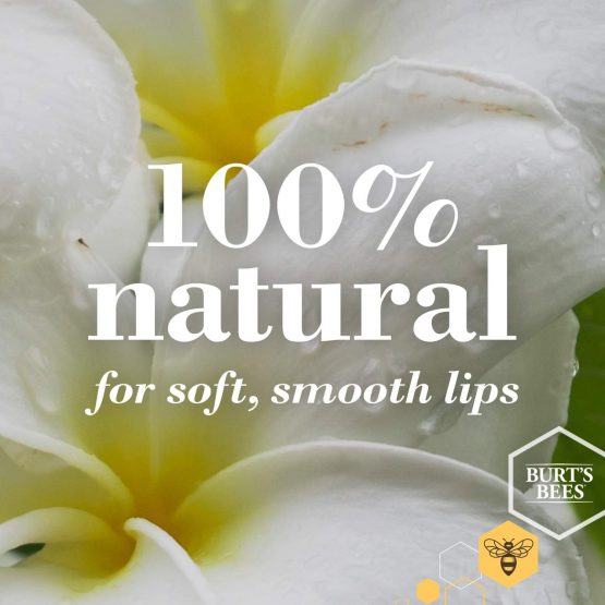 Burt's bees 2578 100% natural lips balm, 4 pieces - Image 3