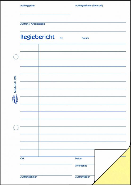 Avery Zweckform 1306 Director Report, DIN A5, Pre-Punched, 2 x 50 Sheets, White, Yellow - Image 2