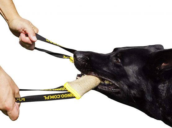 Dingo Jute Bite Tug With Two Handles For Tug Of War Play Dog Bite Training 12914