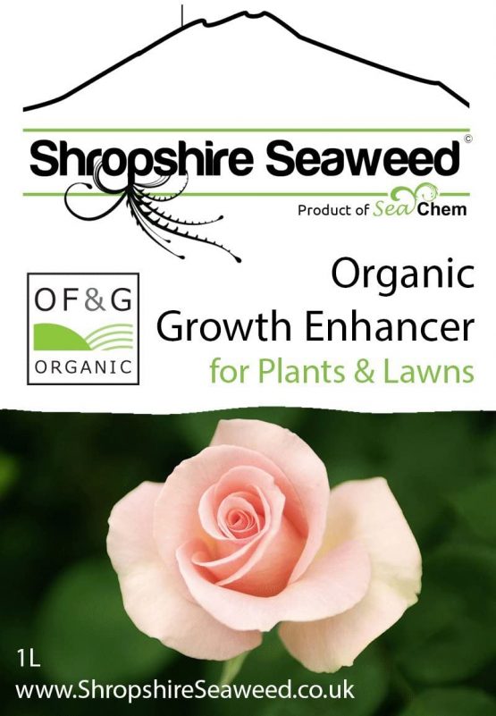 The Shropshire Seaweed Company Premium Organic Liquid Seaweed Fertilizer for Plants and Lawns (1L) - Image 4
