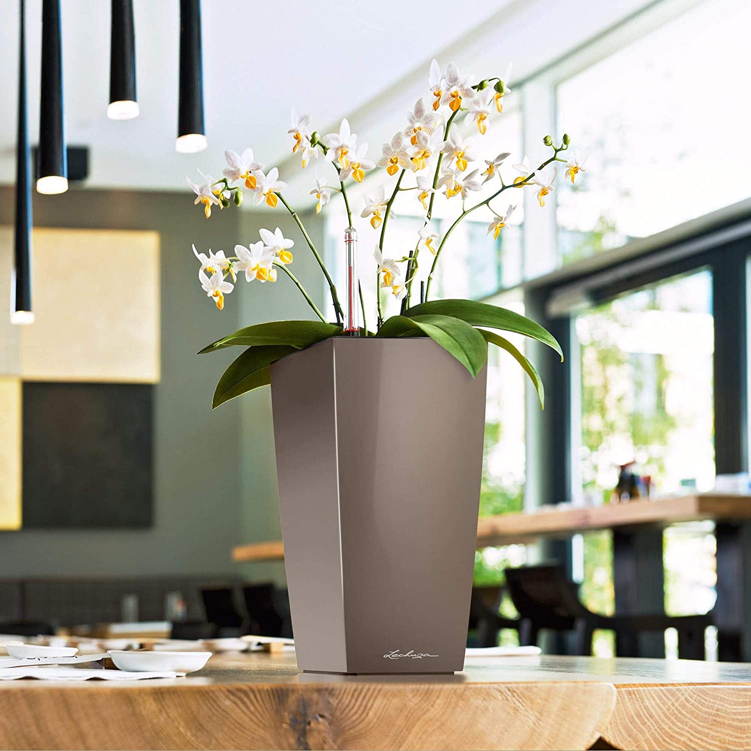 LECHUZA MAXI CUBI Self Watering Planter Small Plastic Indoor Plant Pot without Drainage Hole H26 L14 W14 cm Charcoal Metallic - Image 3
