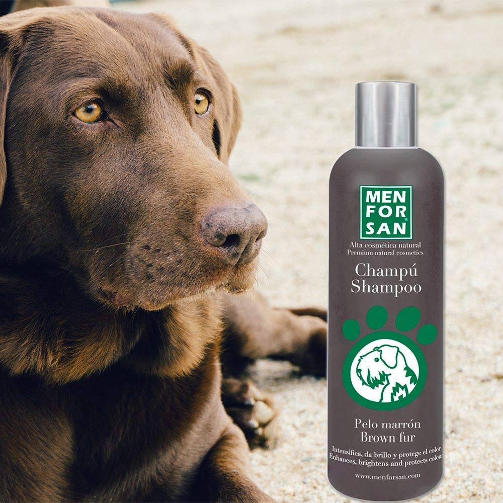 Menforsan - Brown Hair Shampoo, 300ml - Image 4