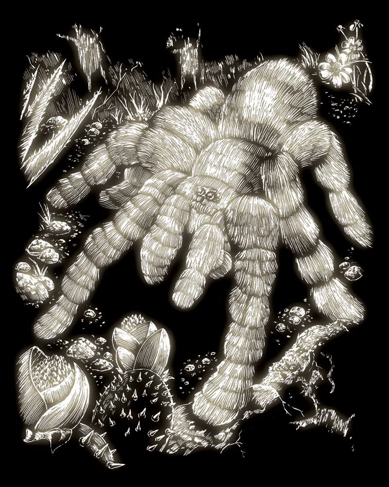 Royal & Langnickel Glow In The Dark Engraving Art A4 Size Tarantula Designed Painting Set, Glow in Dark - Image 2