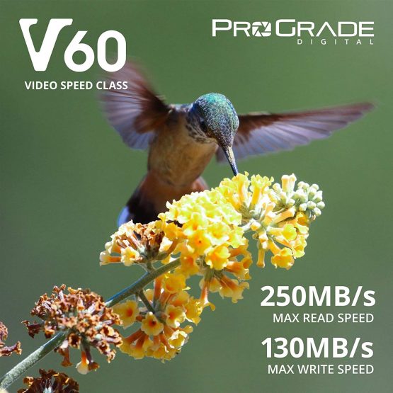 SD UHS-II 128GB Card V60 –Up to 130MB/s Write Speed and 250 MB/s Read Speed | For Professional Vloggers, Filmmakers, Photographers & Content Curators – By Prograde Digital - Image 2