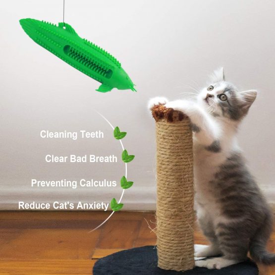 Nice Dream Cat Toothbrush Toys Catnip Toys Interactive ...