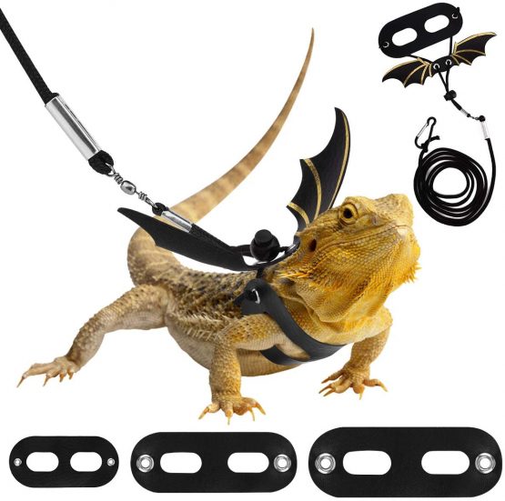 Pawaboo Adjustable Bearded Dragon Harness and Leash, 3 Size Leather Reptile Leash Outdoor Harness Leash with Bat Wings for Lizard Reptiles Amphibians Small Pet, Small/Medium/Large, Black+Gold