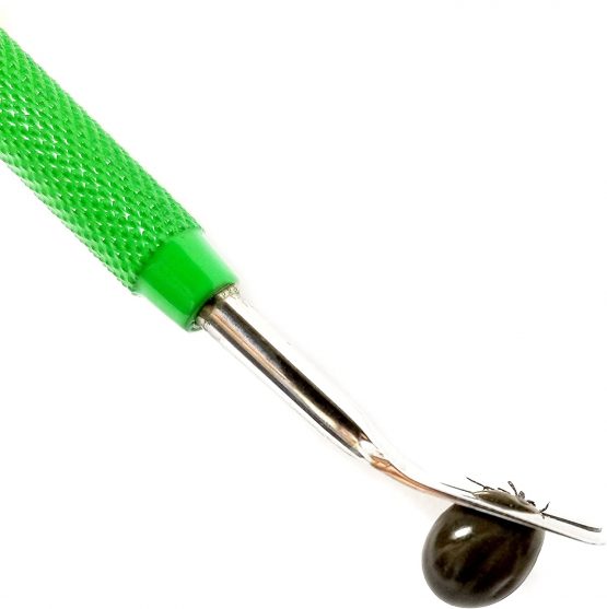 TickCheck Premium Tick Remover Kit (Stainless Steel Tick Remover with Tweezers, Leather Case and Pocket Tick Identification Card) - Image 4