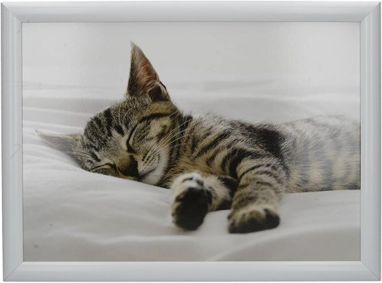 Creative Tops 'Kitten' Cushioned Bean Bag Lap Tray, 44 x 34 cm (17.5" x 13.5") - Multi-Colour