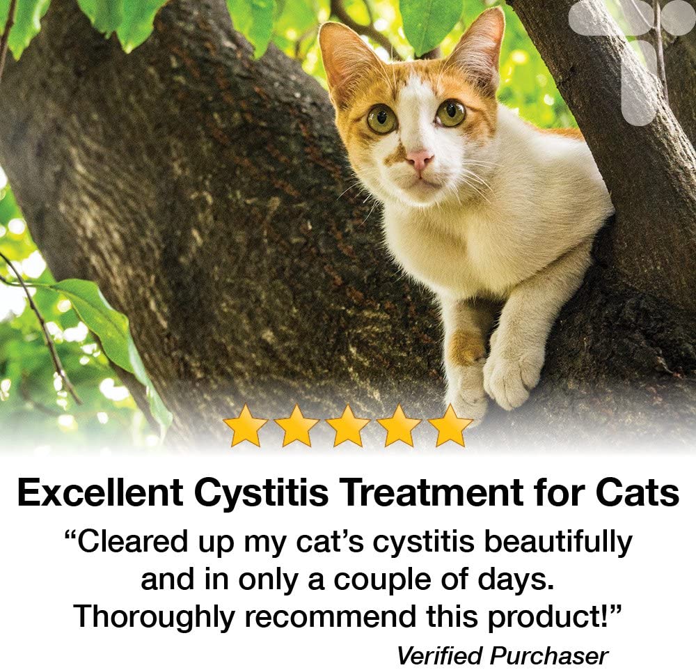 Transforme Cat Cystitis Care, Feline Urinary Tract Food Supplement
