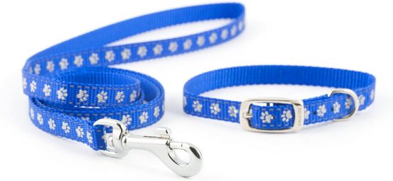Ancol Small Bite Heart Collar Lead Set Blue adjusts 20-30cm
