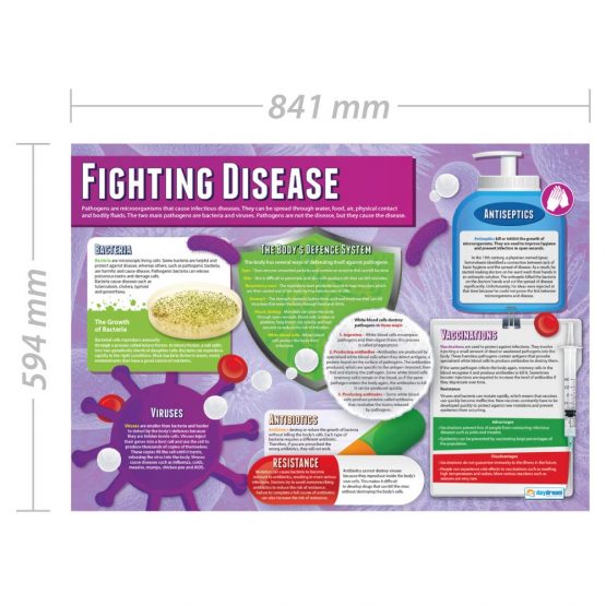 Fighting Disease | Science Posters | Gloss Paper measuring 850mm x 594mm (A1) | Science Charts for the Classroom | Education Charts by Daydream Education - Image 2