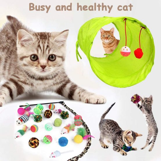 BETOY Cat Toys 21PCS Cat Interactive Toys Set Kitten Toys Including Cat Wand Cat Feather Cat Balls Fake Mice Rattle Cat Toys for Indoor Cats and Kitty - Image 2