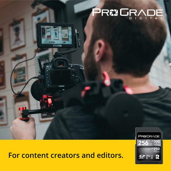 SD UHS-II 256GB Card V90 –Up to 250MB/s Write Speed and 300 MB/s Read Speed | For Professional Vloggers, Filmmakers, Photographers & Content Curators – By Prograde Digital - Image 3