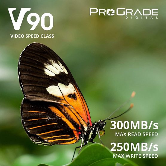 SD UHS-II 128GB Card V90 –Up to 250MB/s Write Speed and 300 MB/s Read Speed | For Professional Vloggers, Filmmakers, Photographers & Content Curators – By Prograde Digital - Image 2