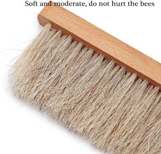BR TOOL Bee Hive Brush Double Rows Natural Horse Hair Bee Brush with Wooden Handle Soft Bristle Beekeeper Cleaner Tool Bee Sweep Brush Beekeeping Equipment(Horse Hair) - Image 3