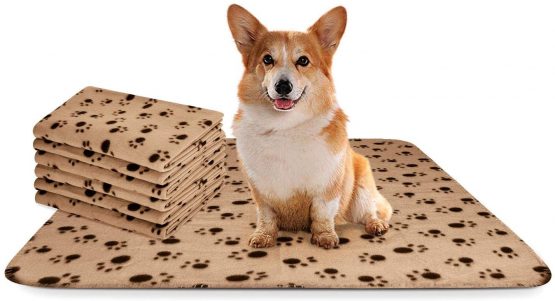 Nobleza - 6 x Dog Blanket Cat Cushion Puppy Kitten Sleep Pad Mat Pet Bed Cover Washable Warm Soft Fluffy Fleece Blankets Beige 75 * 75cm