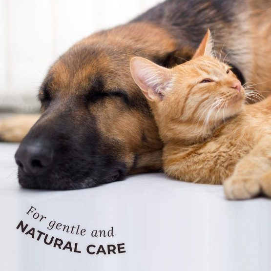 AniForte Paw Protection Balm for Dogs and Cats 120ml - Natural Cat & Dog Paw Balm Cream For Reliable Protection when there is Snow or Road Salt on the Ground - Image 4