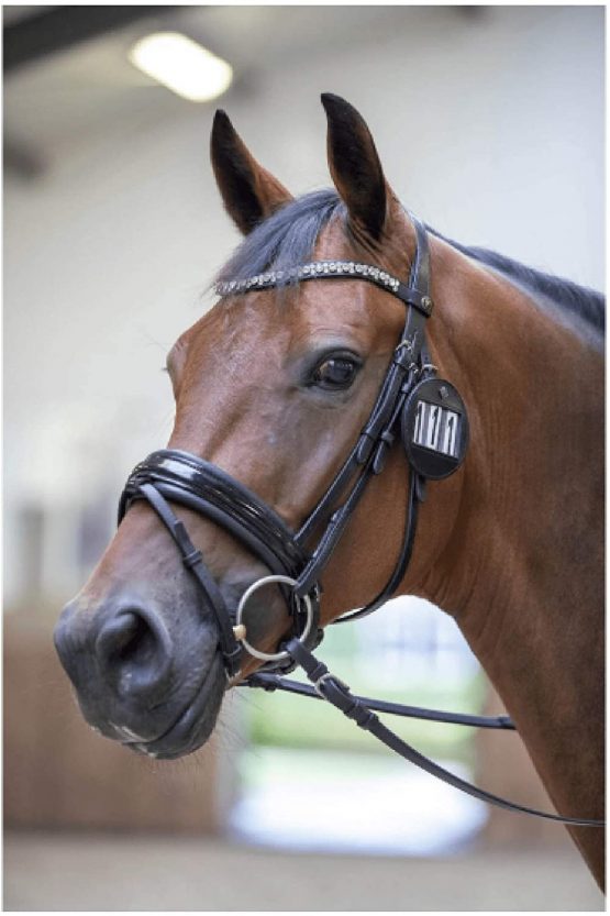 LeMieux Unisex's Bridle Number Holder Round Black Plain Competiton, One Size - Image 2