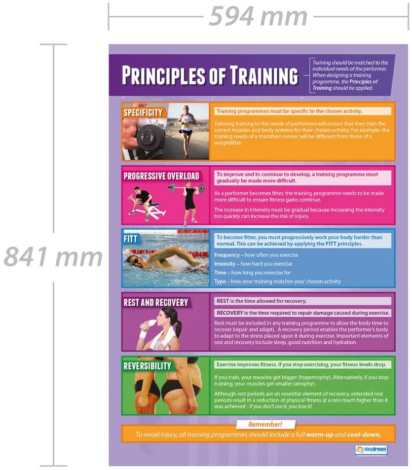 Daydream Education Principles of Sports Training, Laminated, 85L x 59.7W cm - Image 2
