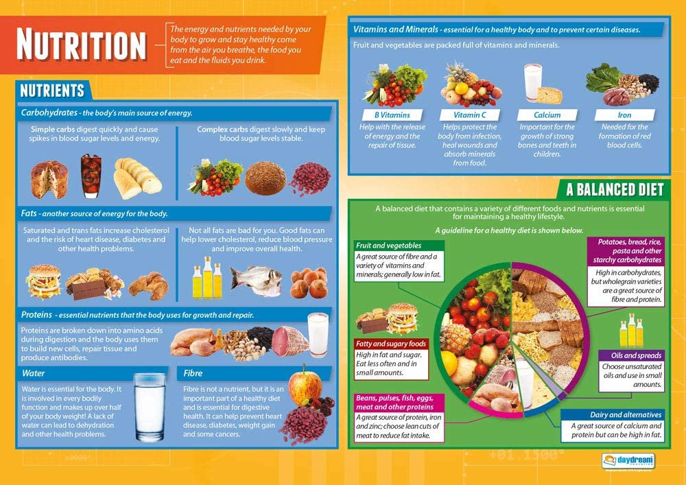 Daydream Education Nutrition, 85L x 59.4W cm