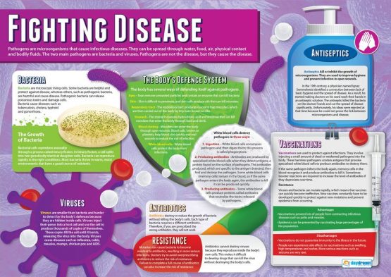 Fighting Disease | Science Posters | Gloss Paper measuring 850mm x 594mm (A1) | Science Charts for the Classroom | Education Charts by Daydream Education