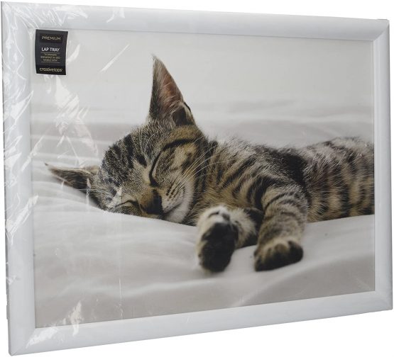 Creative Tops 'Kitten' Cushioned Bean Bag Lap Tray, 44 x 34 cm (17.5" x 13.5") - Multi-Colour - Image 4