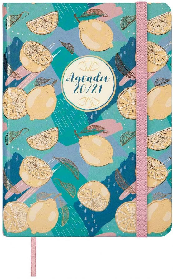 Finocam - Agenda Course 2020-2021 M4-118 x 168 1 Day Natural Lemon Spanish Page