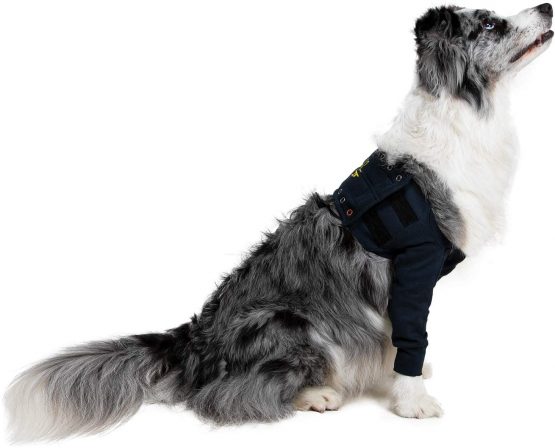 MPS Medical Pet Shirt - TAZ2, Double Front Leg Sleeve for Dog, XX-Small - Image 4