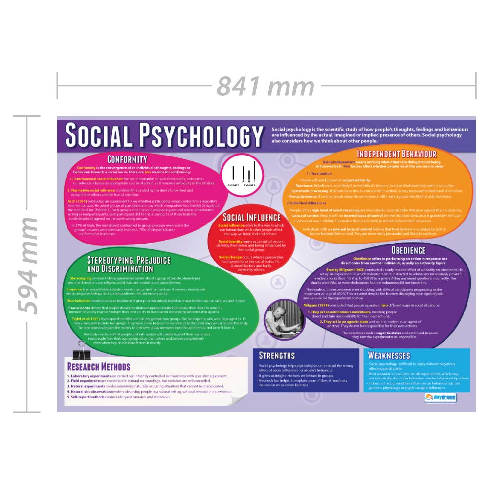 Daydream Education Social Psychology, 85L x 59.4W cm - Image 2