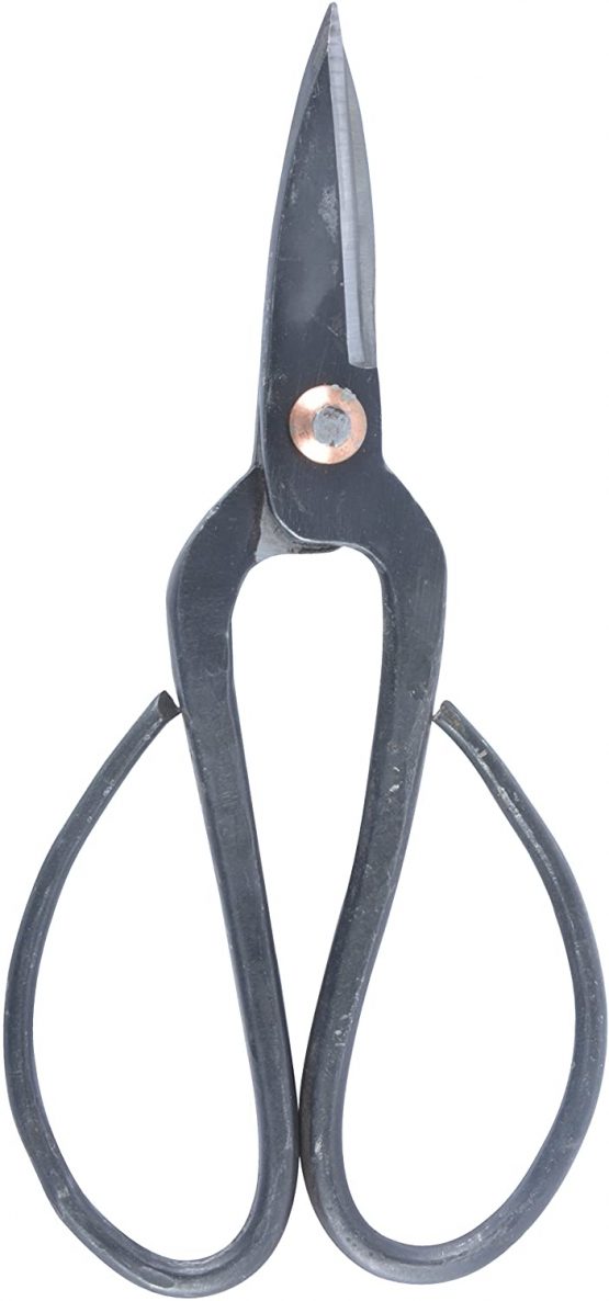Fallen Fruits GT55 Bonsai Shears, Grey