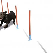 Rosewood Dog Agility Slalom includes Bag