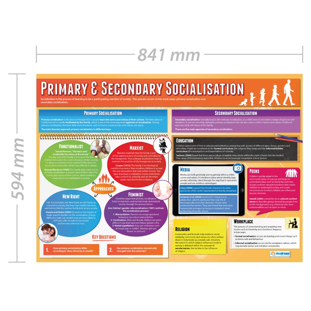 Daydream Education Primary & Secondary Socialisation, Primary and Secondary Socialisation, 85L x 59.4W cm - Image 2