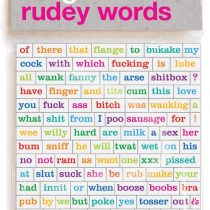 Brainbox Candy Magnetic Rude Peal Off Words