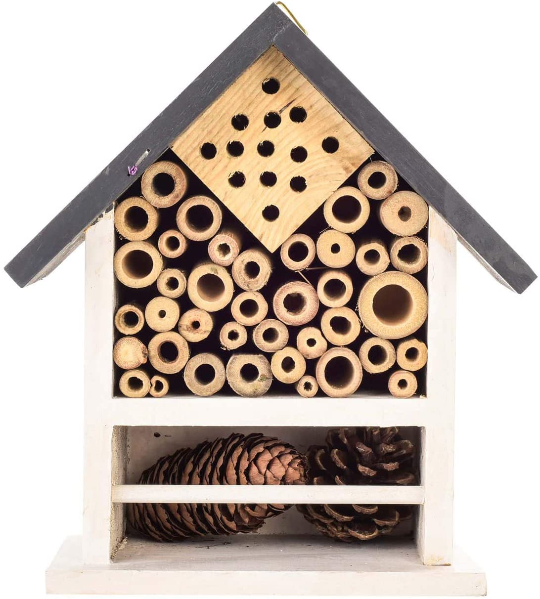 Wooden Bee, Ladybirds and Insects Bug House and Nesting box, Multicolor