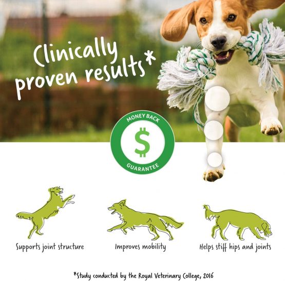 Lintbells | YuMOVE Adult Dog | Hip and Joint Supplement for Stiff Adult Dogs, with Glucosamine, Chondroitin, Green Lipped Mussel | Aged 6 to 8 | 300 Tablets - Image 4