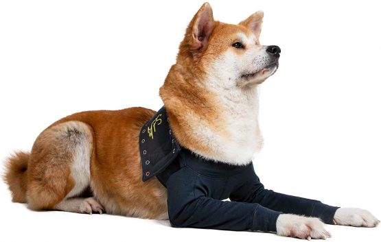 MPS Medical Pet Shirt - TAZ2, Double Front Leg Sleeve for Dog, XX-Small - Image 3