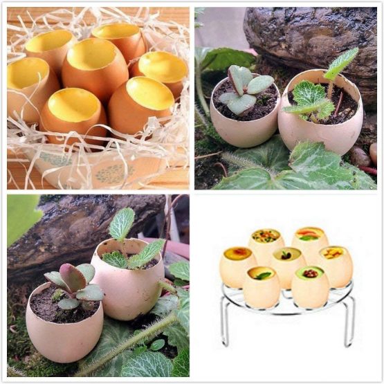Shell Opener,Egg Opener Stainless Steel Egg Cutter Eggshell Topper Kitchen Cutter Tool for Boiled Raw Egg Open Scissors Tool Boiled and Raw Eggs Clean Opener - Image 4