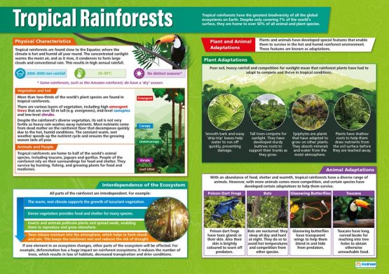 Tropical Rainforests | Geography Posters | Laminated Gloss Paper measuring 850mm x 594mm (A1) | Geography Classroom Posters | Education Charts by Daydream Education