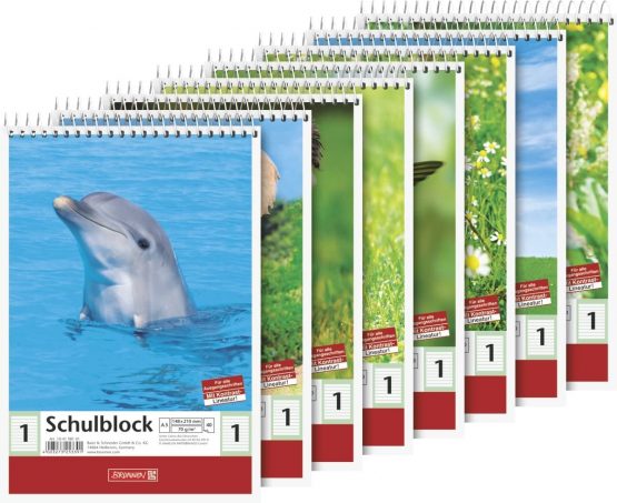 Brunnen 104198101 School Pad (A5, 40 Sheets, Lined, Ruling 1, Class 1) - Image 2