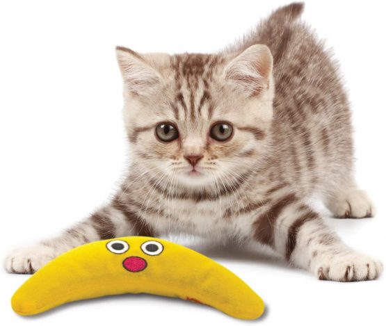 Petstages Green Magic Boomerang Buddy Catnip Cat Toy - Image 4