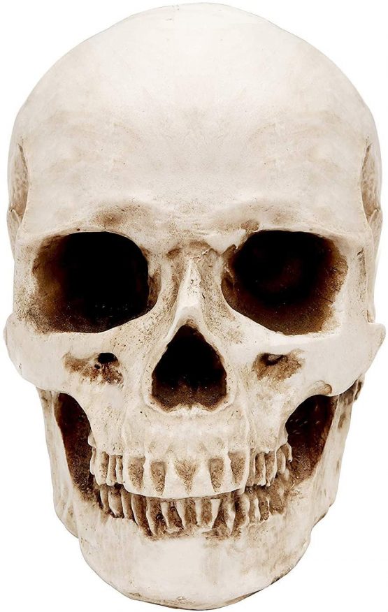 Kurtzy Human Skull Model - L12 x W17 x H14.5cm / 4.72 x 6.70 x 5.71 Inches - Realistic Resin Bone Medical Skeleton - Replica Life-Size Head for Anatomical Medical Teaching & Halloween Party Decoration