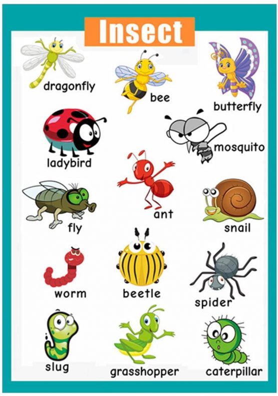 4 Educational Learning Preschool Posters for Toddlers| Educational Wall ...