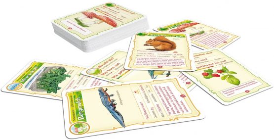 ASS Altenburger 22572843 Adventure School Nature Bingo Card Game - Image 4
