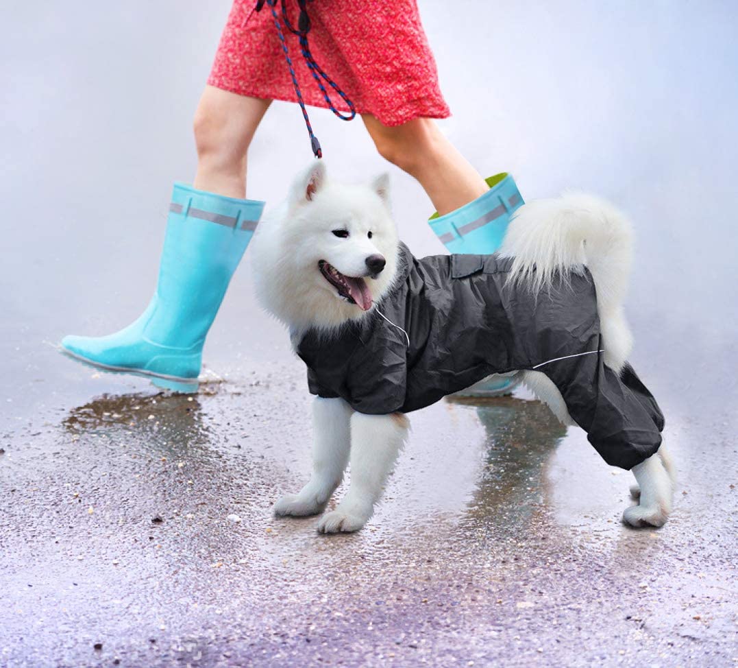 Idepet Raincoat with Hood & Collar Hole - Image 3