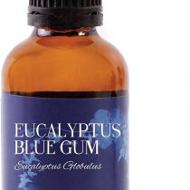 Mystic Moments | Eucalyptus Blue Gum Essential Oil - 50ml - 100% Pure