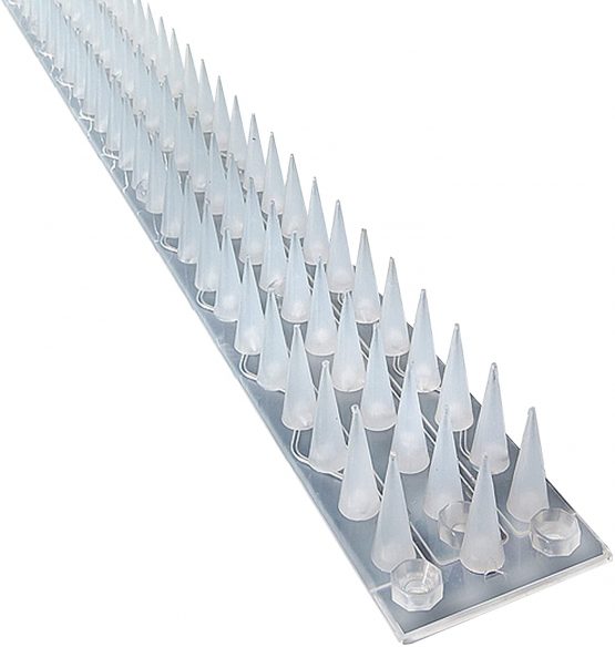 Good Selections unknown Windowsill Wall and Fence 5 Metre Pack (Clear), Silver