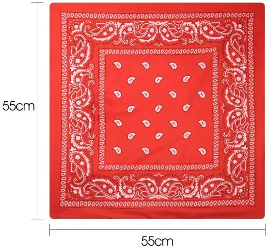 FEPITO 10Pcs Paisley Bandanas Assorted Cowboy Bandanas Unisex Novelty Print Head Wrap Scarf Wristband for Adults and Kids (10 Colors) - Image 2