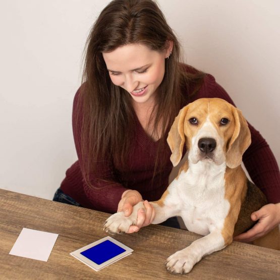 Forever Fun Times No-Touch Pet Paw Print Kit | Get Perfect Dog and Cat Prints Without a Drop of Ink on Your Pet | Fast and Easy Non-Toxic Ink Pad for Pets (2 Pads, Black) - Image 2