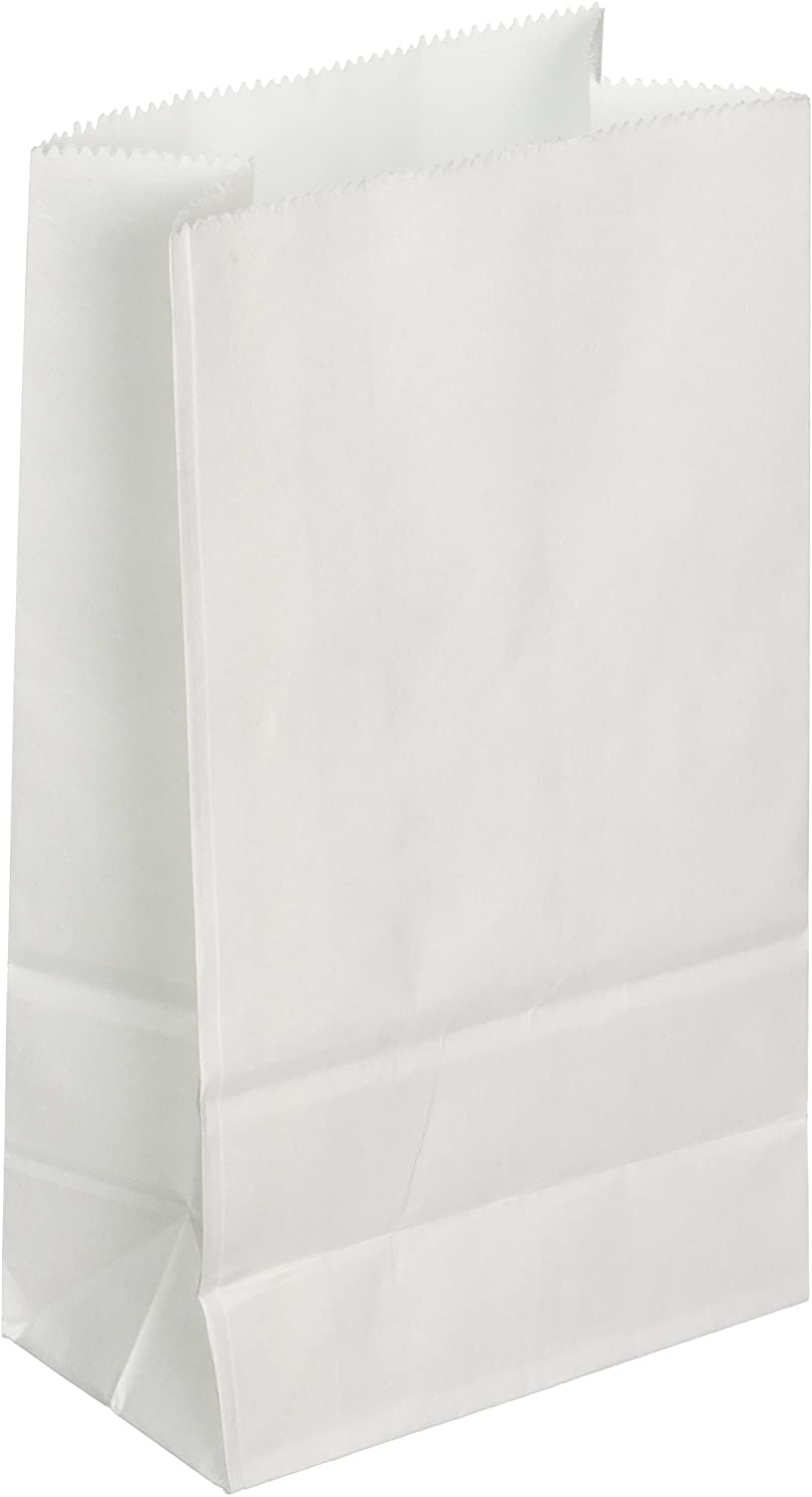 Darice Paper Bags, Multi-Colour, 22.86 x 8.89 x 8.89 cm